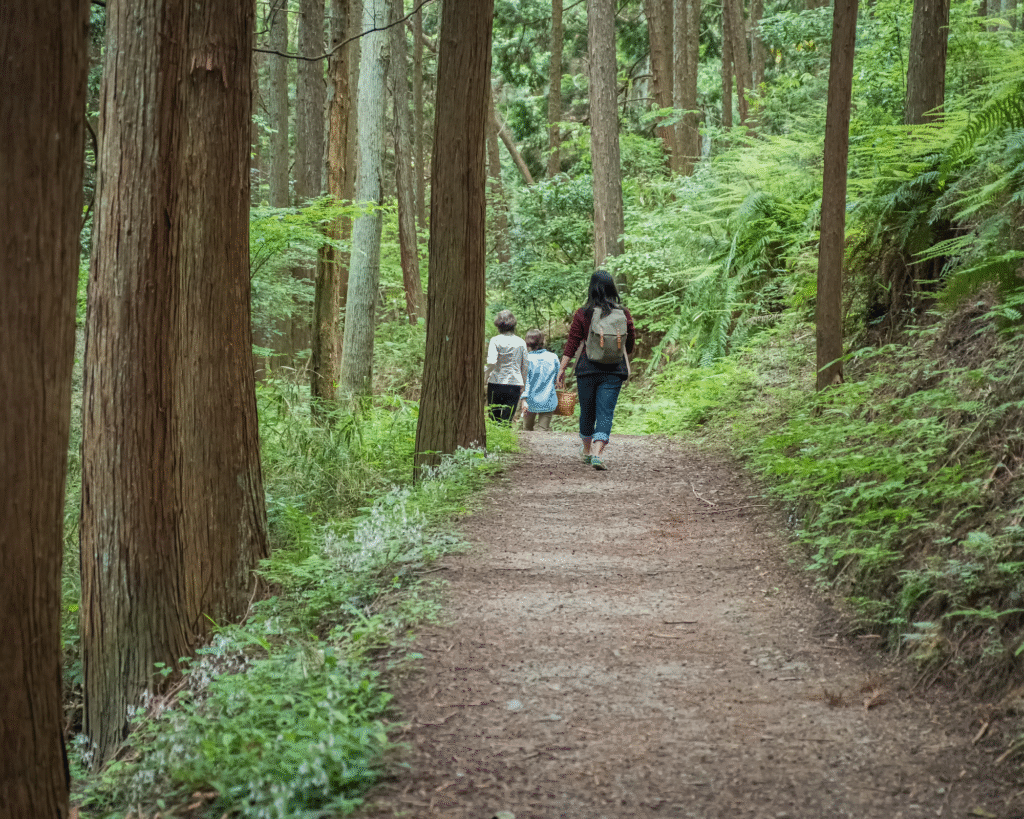 Family hiking through lush green forest trail.