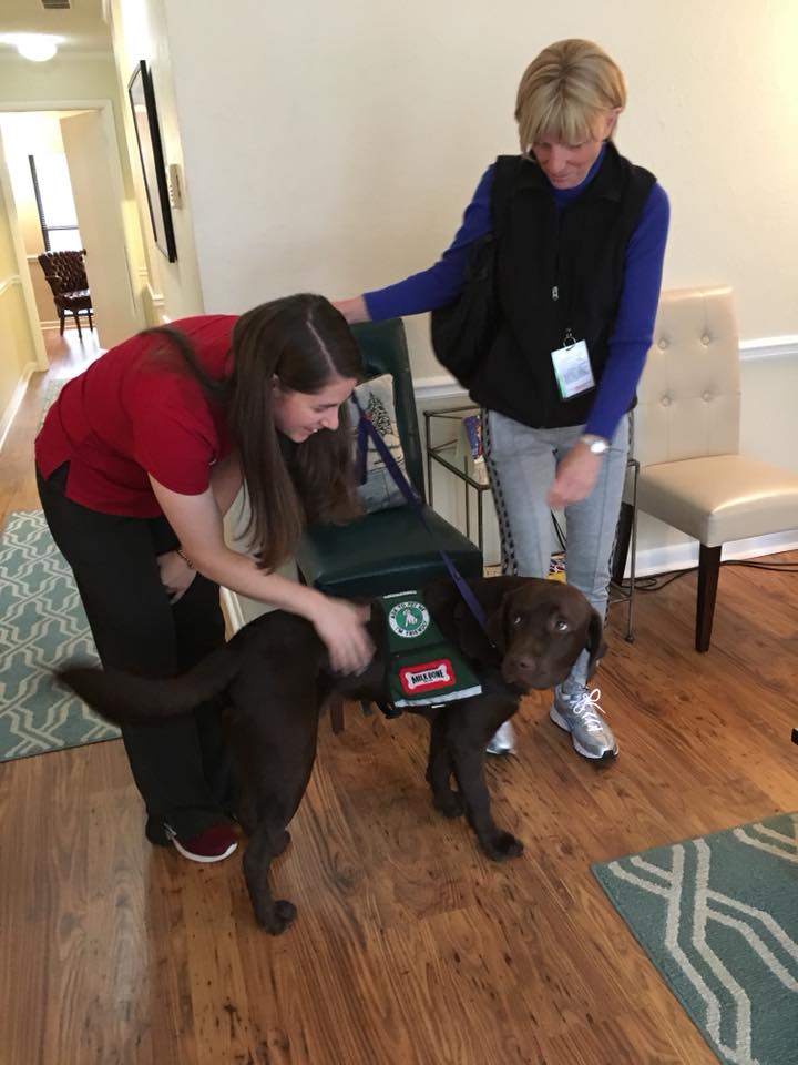 Therapy dog interacts with two women indoors.