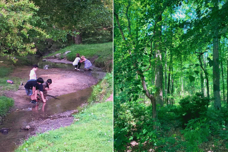 Children playing by a shallow creek surrounded by lush greenery and trees, exploring nature and engaging in outdoor play, a positive reminder of how outdoor activities help prevent Nature Deficit Disorder and support healthy child development.
